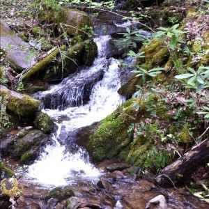 Meet your Posher, Maureen